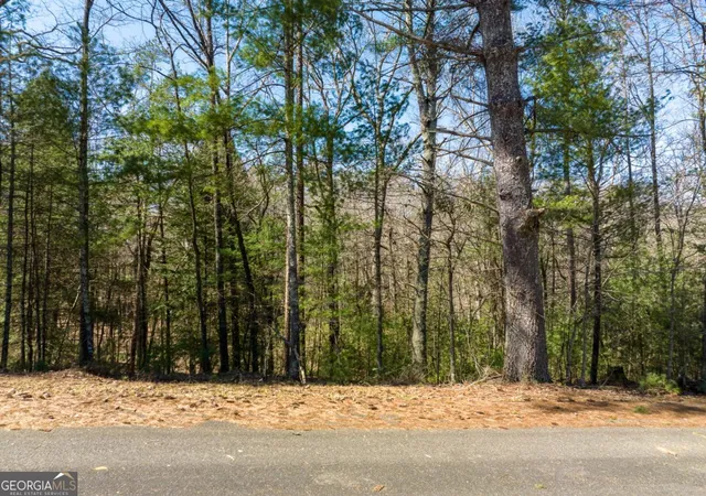 Photo 1 of Land for sale at Lot 164 Shenendoa Dr, Ellijay, GA 30540 | MLS# 10839755 | Listing updated on 2026-09-17