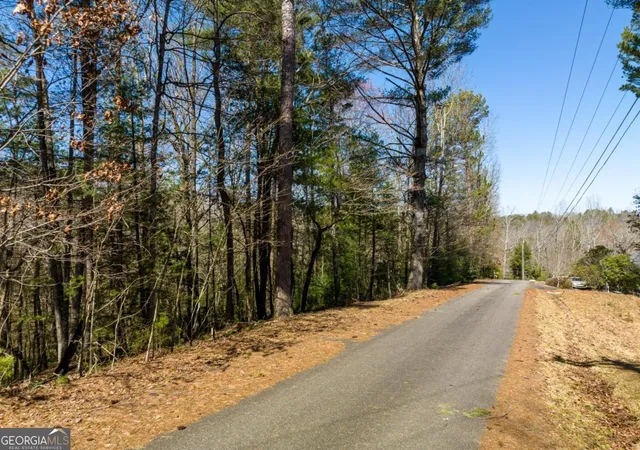 Photo 3 of Land for sale at Lot 164 Shenendoa Dr, Ellijay, GA 30540 | MLS# 10839755 | Listing updated on 2026-09-17