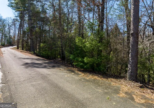 Photo 4 of Land for sale at Lot 164 Shenendoa Dr, Ellijay, GA 30540 | MLS# 10839755 | Listing updated on 2026-09-17