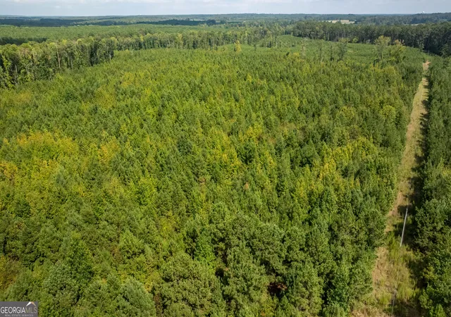 Photo 4 of Land for sale at Lot 2 Union Church Rd, Thomson, GA 30824 | MLS# 10842651 | Listing updated on 2026-09-11