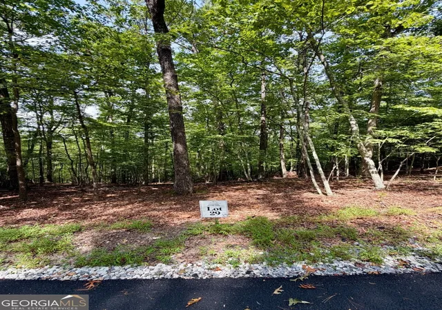 Photo 1 of Land for sale at Lot 29 Prospect Ridge, Blue Ridge, GA 30513 | MLS# 10848537 | Listing updated on 2026-09-18