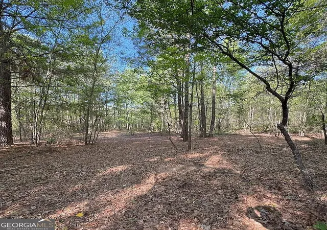 Photo 2 of Land for sale at 0 Middle Ground Rd, Louisville, GA 30434 | MLS# 10843086 | Listing updated on 2026-09-10