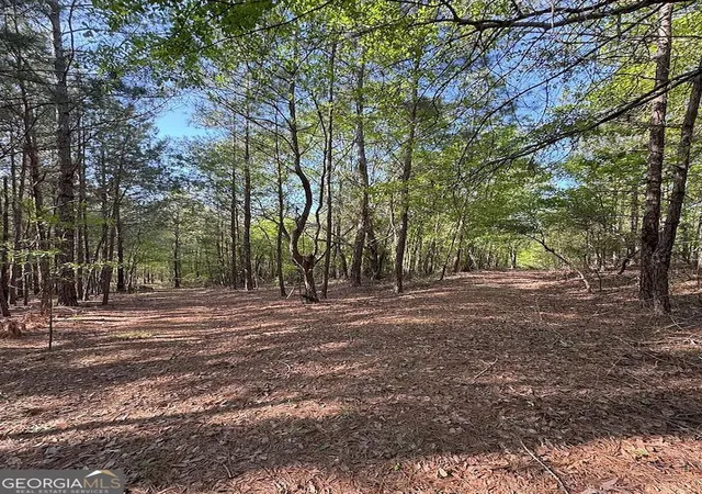 Photo 3 of Land for sale at 0 Middle Ground Rd, Louisville, GA 30434 | MLS# 10843086 | Listing updated on 2026-09-10