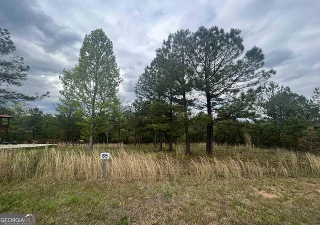 Land for sale at Lot 65 Village Loop, Blairsville, GA 30512 | MLS# 10841509