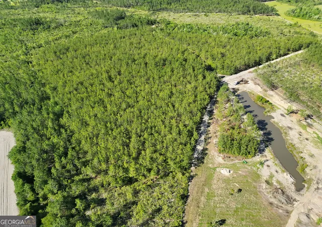 Photo 3 of Land for sale at 2368 Acres Quick Draw Rd, Waycross, GA 31503 | MLS# 10839643 | Listing updated on 2026-09-17