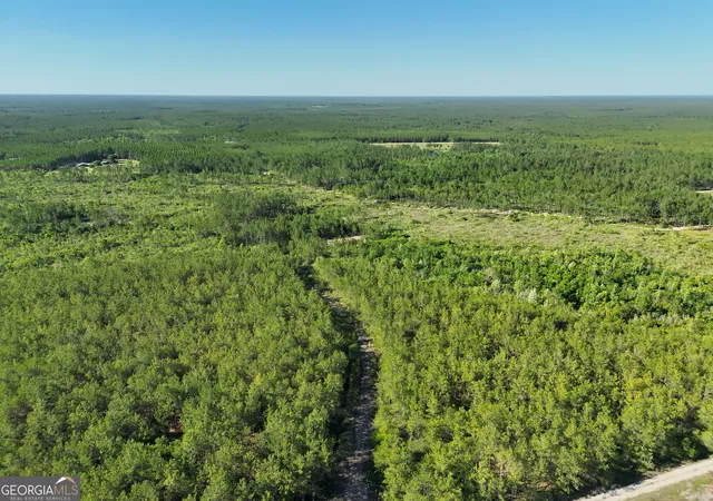 Photo 4 of Land for sale at 2368 Acres Quick Draw Rd, Waycross, GA 31503 | MLS# 10839643 | Listing updated on 2026-09-17