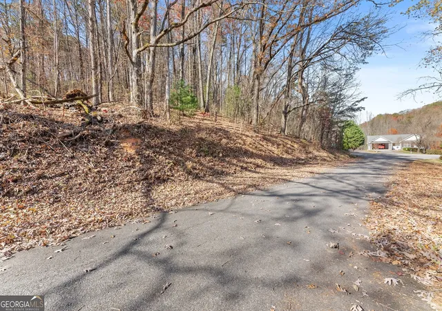 Photo 4 of Land for sale at Lot 50 & 51 Meadow Crst Dr, Cleveland, GA 30528 | MLS# 10840699 | Listing updated on 2026-09-18