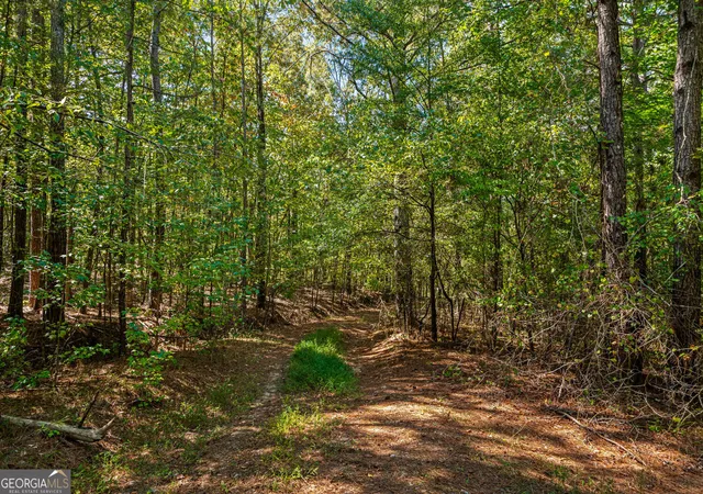Photo 3 of Single family home for sale at 3249 Wax Rd SE, Aragon, GA 30104 | MLS# 10879922 | Listing updated on 2026-10-30