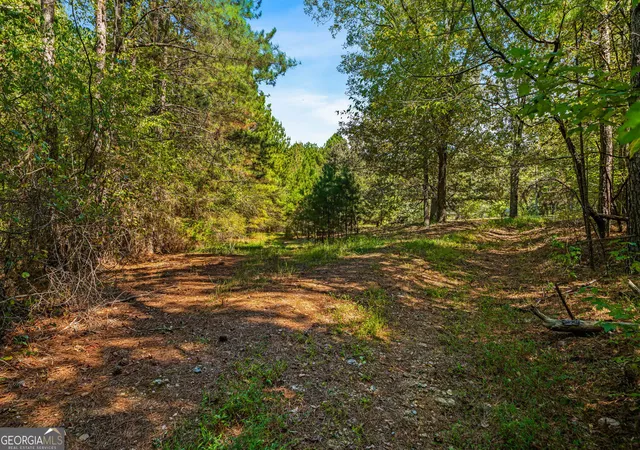 Photo 4 of Single family home for sale at 3249 Wax Rd SE, Aragon, GA 30104 | MLS# 10879922 | Listing updated on 2026-10-30