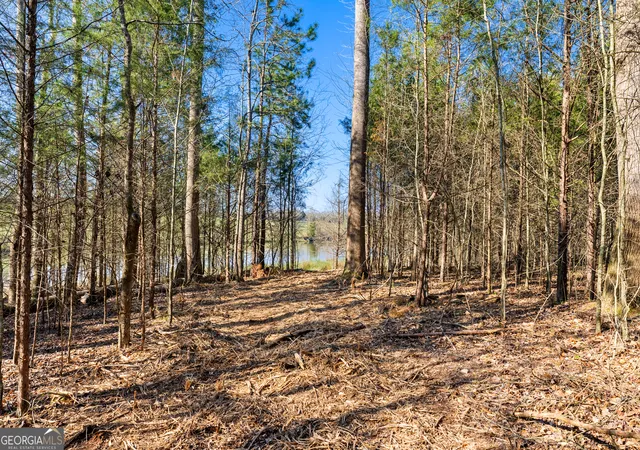 Photo 3 of Land for sale at 8 Ridgeview Point, Hartwell, GA 30643 | MLS# 10841022 | Listing updated on 2026-09-19