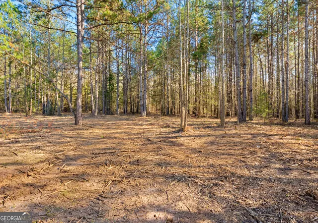 Photo 3 of Land for sale at 8 Ridgeview Point, Hartwell, GA 30643 | MLS# 10841022 | Listing updated on 2026-09-19