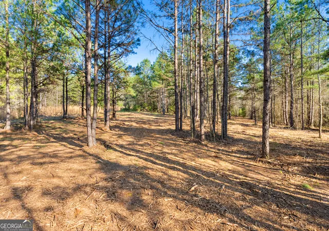Photo 4 of Land for sale at 8 Ridgeview Point, Hartwell, GA 30643 | MLS# 10841022 | Listing updated on 2026-09-19