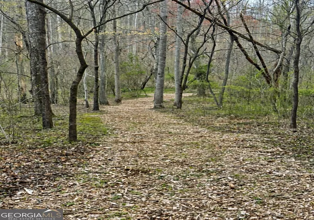 Photo 3 of Land for sale at Lot 18 Turquoise Ridge, Blue Ridge, GA 30513 | MLS# 10848517 | Listing updated on 2026-09-18