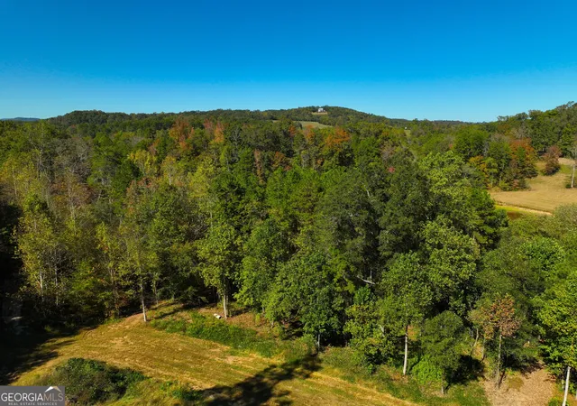 Photo 3 of Land for sale at 00 River Rd, Westminster, SC 29693 | MLS# 10841926 | Listing updated on 2026-09-08