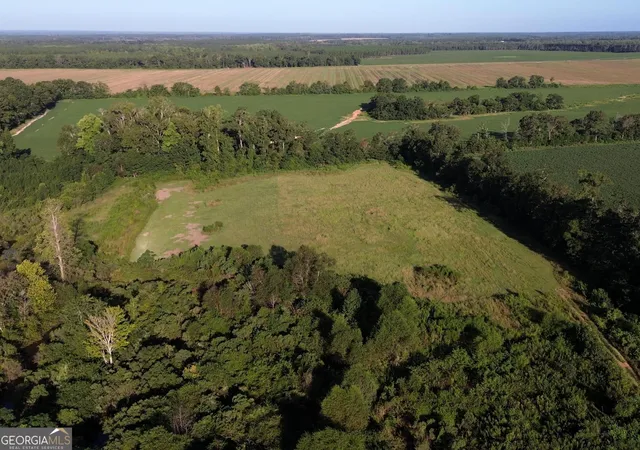 Photo 3 of Land for sale at 02 Cameron Rd, Sylvania, GA 30467 | MLS# 10843359 | Listing updated on 2026-09-14