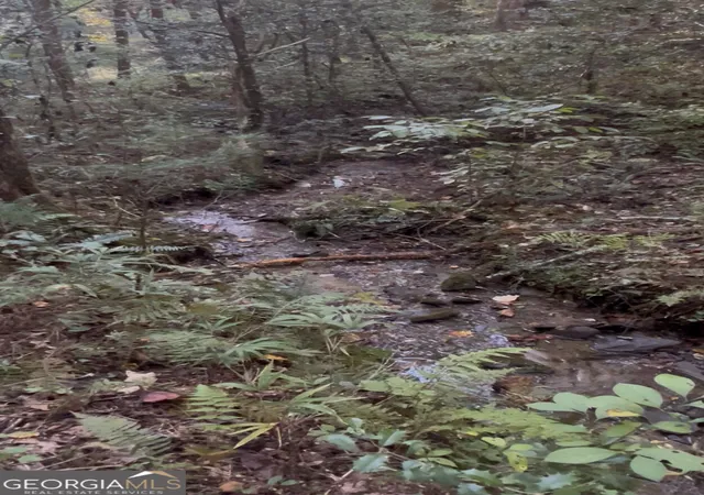 Photo 3 of Land for sale at 154 W Otahki Dr, Ellijay, GA 30540 | MLS# 10879075 | Listing updated on 2026-10-26