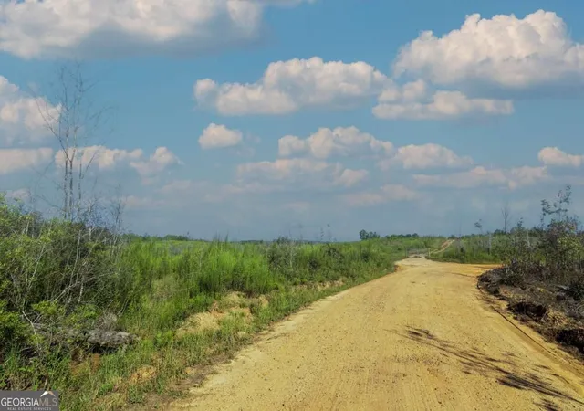 Photo 1 of Land for sale at Tract 4 Highway 0036, Woodland, GA 31836 | MLS# 10837447 | Listing updated on 2026-09-21