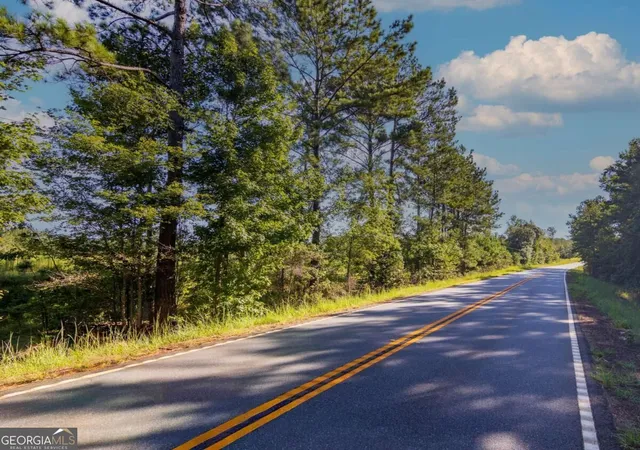Photo 2 of Land for sale at Tract 4 Highway 0036, Woodland, GA 31836 | MLS# 10837447 | Listing updated on 2026-09-21