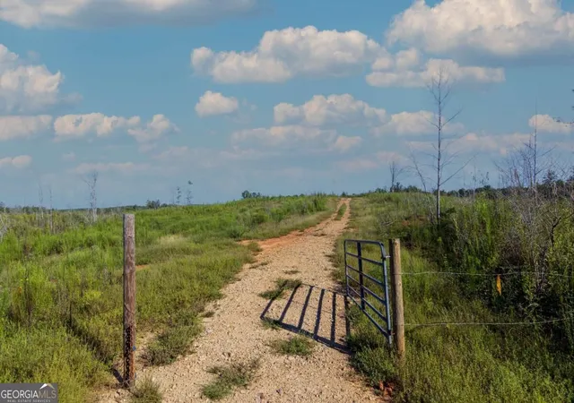 Photo 3 of Land for sale at Tract 4 Highway 0036, Woodland, GA 31836 | MLS# 10837447 | Listing updated on 2026-09-21
