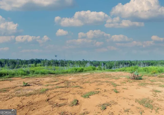 Photo 3 of Land for sale at Tract 4 Highway 0036, Woodland, GA 31836 | MLS# 10837447 | Listing updated on 2026-09-21