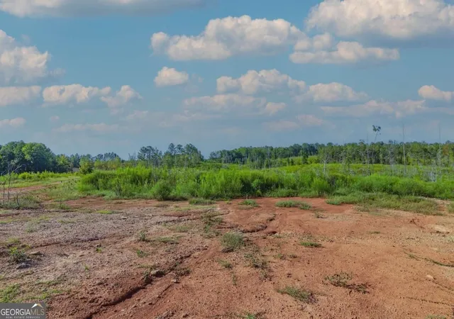 Photo 4 of Land for sale at Tract 4 Highway 0036, Woodland, GA 31836 | MLS# 10837447 | Listing updated on 2026-09-21
