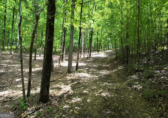Photo 3 of Land for sale at 3640 Bullock Brg Rd, Monroe, GA 30656 | MLS# 10848109 | Listing updated on 2026-09-17