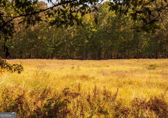 Photo 1 of Land for sale at 0 Livingston Rd, Rome, GA 30161 | MLS# 10843901 | Listing updated on 2026-09-10