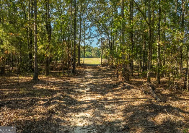 Photo 2 of Land for sale at 0 Livingston Rd, Rome, GA 30161 | MLS# 10843901 | Listing updated on 2026-09-10