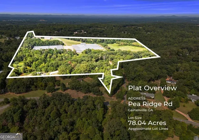 Land for sale at 0 Pea Ridge Rd, Gainesville, GA 30506 | MLS# 10852768