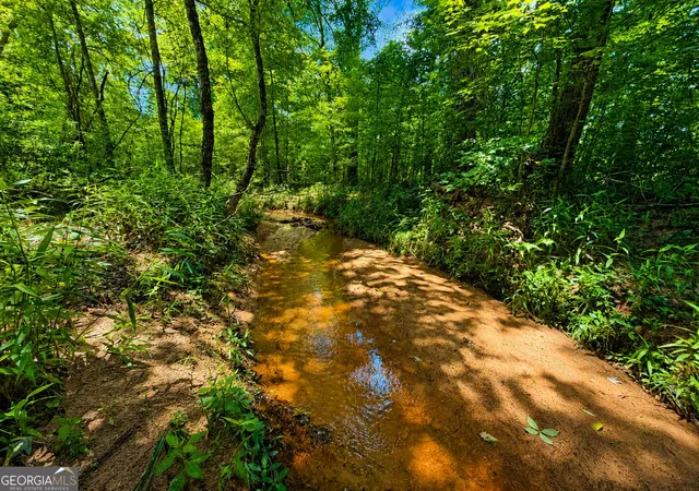 Photo 1 of Land for sale at 29 Acres Cochran Rd, Madison, GA 30650 | MLS# 10836044 | Listing updated on 2026-09-13