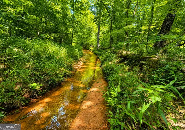 Photo 4 of Land for sale at 29 Acres Cochran Rd, Madison, GA 30650 | MLS# 10836044 | Listing updated on 2026-09-13
