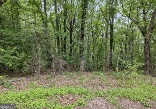 Photo 4 of Land for sale at 2730 Vaughandale Cir, Gainesville, GA 30506 | MLS# 10839757 | Listing updated on 2026-09-03