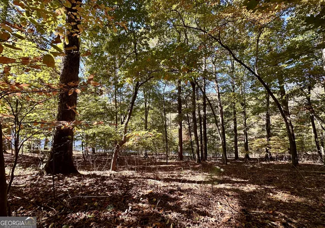 Photo 3 of Land for sale at 29 Forked Leaf Rd, Cleveland, GA 30528 | MLS# 10836024 | Listing updated on 2026-09-13