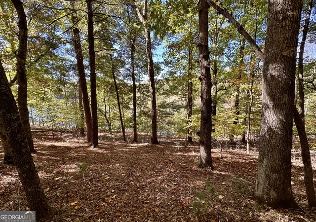 Photo 4 of Land for sale at 29 Forked Leaf Rd, Cleveland, GA 30528 | MLS# 10836024 | Listing updated on 2026-09-13