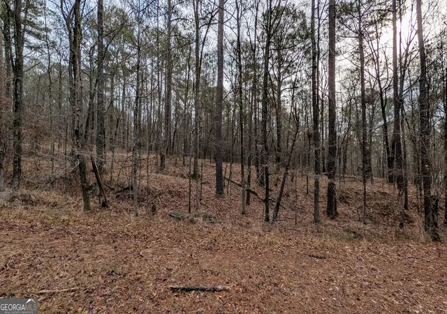 Photo 2 of Land for sale at 0 Highway 87, Macon, GA 31210 | MLS# 10842791 | Listing updated on 2026-09-09