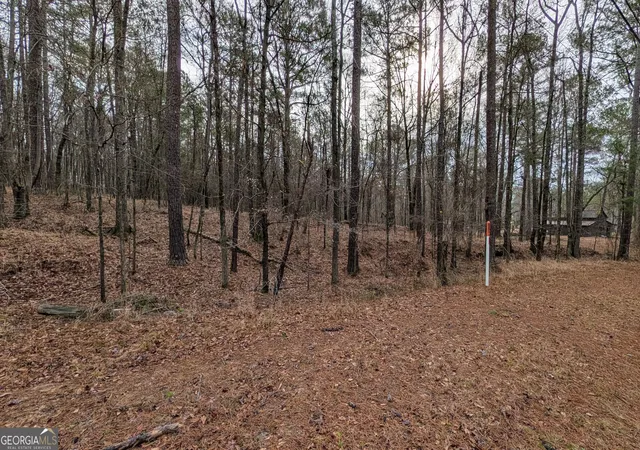 Photo 3 of Land for sale at 0 Highway 87, Macon, GA 31210 | MLS# 10842791 | Listing updated on 2026-09-09