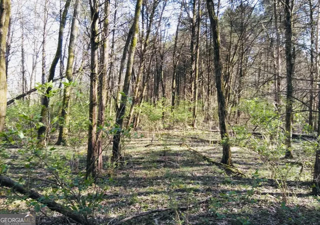 Photo 2 of Land for sale at 1517 Ninety Seven Springs Rd Ne, Dalton, GA 30721 | MLS# 10839159 | Listing updated on 2026-09-19