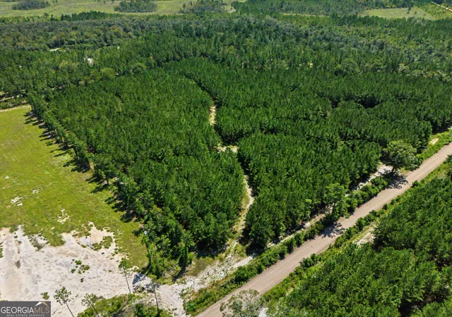 Photo 3 of Land for sale at 0 Ml Branch Clb Rd 1o #1O, Pembroke, GA 31321 | MLS# 10843564 | Listing updated on 2026-10-06