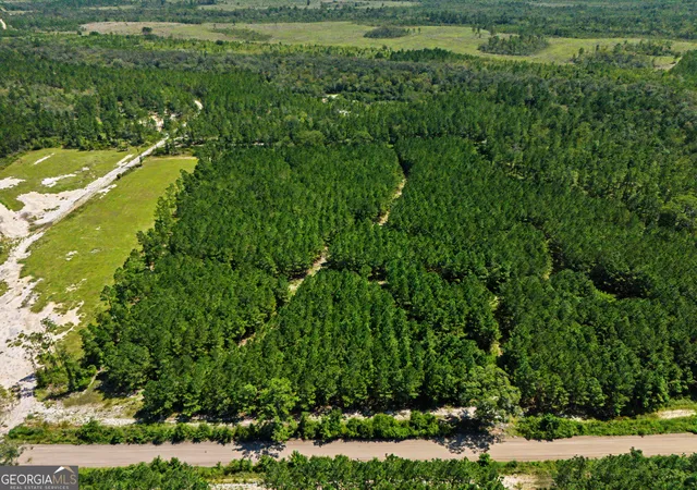 Photo 4 of Land for sale at 0 Ml Branch Clb Rd 1o #1O, Pembroke, GA 31321 | MLS# 10843564 | Listing updated on 2026-10-06