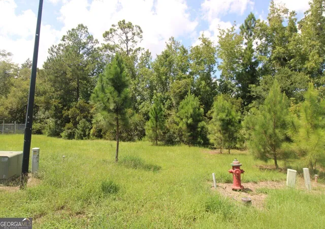 Photo 3 of Land for sale at 203 Drayton Cir, Brunswick, GA 31525 | MLS# 10837652 | Listing updated on 2026-09-15