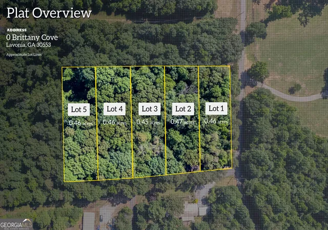 Land for sale at 0 Brittany Cvs, Lavonia, GA 30553 | MLS# 10844225
