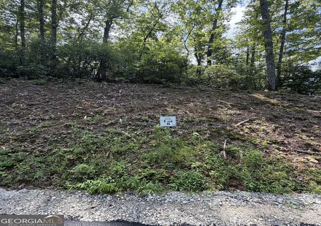 Photo 3 of Land for sale at Lot 8 Sapphire Ridge, Blue Ridge, GA 30513 | MLS# 10848182 | Listing updated on 2026-09-17