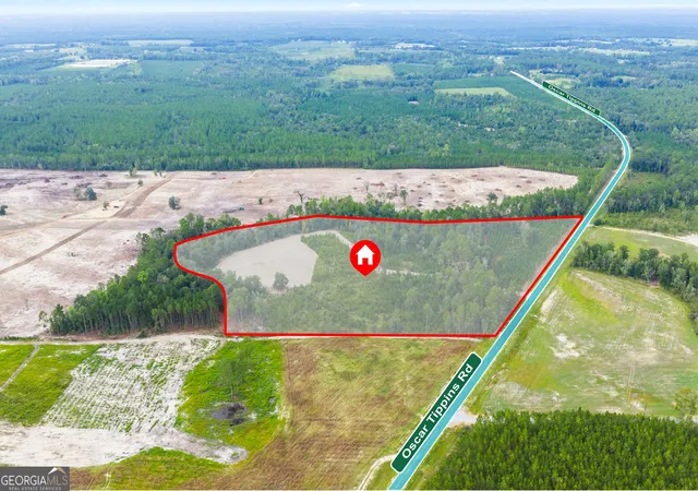 Photo 1 of Land for sale at 000 Oscar Tippins Rd, Baxley, GA 31513 | MLS# 10845678 | Listing updated on 2026-09-28
