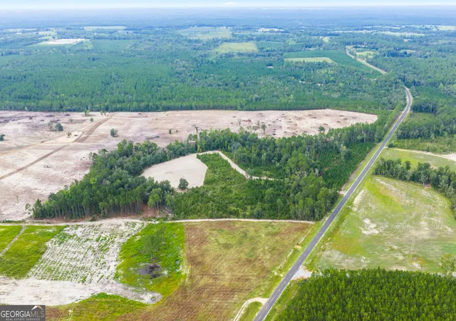 Photo 2 of Land for sale at 000 Oscar Tippins Rd, Baxley, GA 31513 | MLS# 10845678 | Listing updated on 2026-09-28