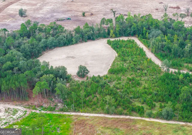 Photo 3 of Land for sale at 000 Oscar Tippins Rd, Baxley, GA 31513 | MLS# 10845678 | Listing updated on 2026-09-28
