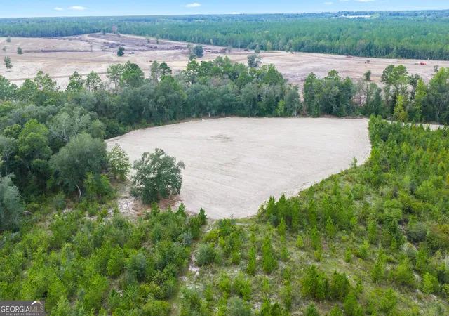 Photo 3 of Land for sale at 000 Oscar Tippins Rd, Baxley, GA 31513 | MLS# 10845678 | Listing updated on 2026-09-28