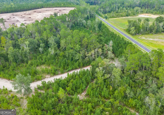 Photo 4 of Land for sale at 000 Oscar Tippins Rd, Baxley, GA 31513 | MLS# 10845678 | Listing updated on 2026-09-28
