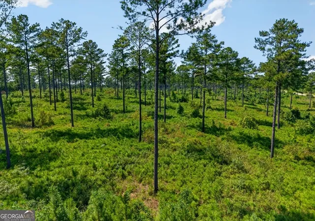 Photo 1 of Land for sale at 0 Highway 30 #TRACT A, Buena Vista, GA 31803 | MLS# 10840021 | Listing updated on 2026-09-18