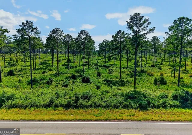 Photo 2 of Land for sale at 0 Highway 30 #TRACT A, Buena Vista, GA 31803 | MLS# 10840021 | Listing updated on 2026-09-18