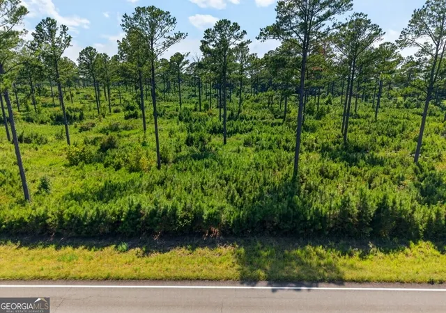 Photo 3 of Land for sale at 0 Highway 30 #TRACT A, Buena Vista, GA 31803 | MLS# 10840021 | Listing updated on 2026-09-18